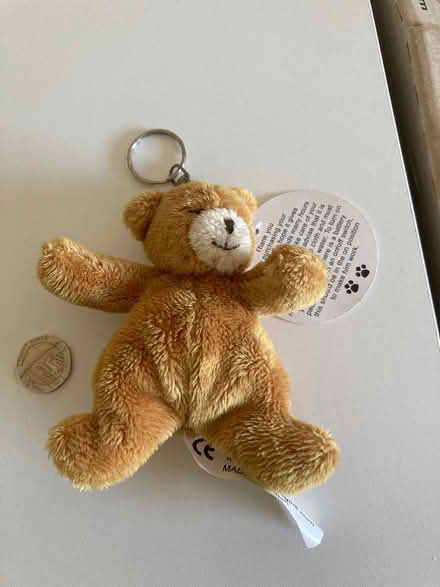 Photo of free Key ring (Madeley TF7) #1
