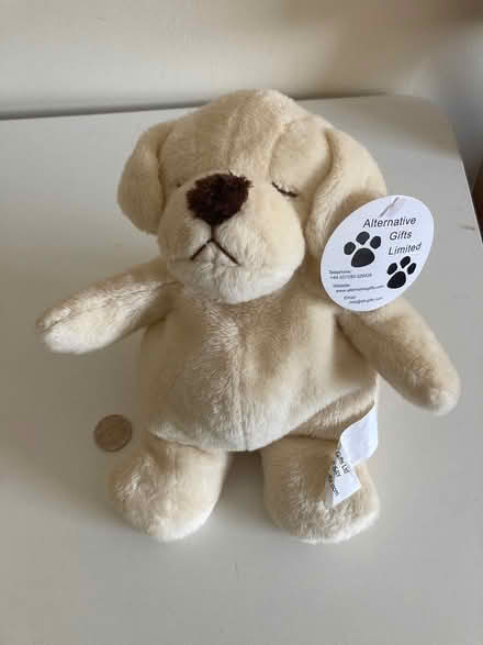 Photo of free Snoring bear (Madeley TF7) #1