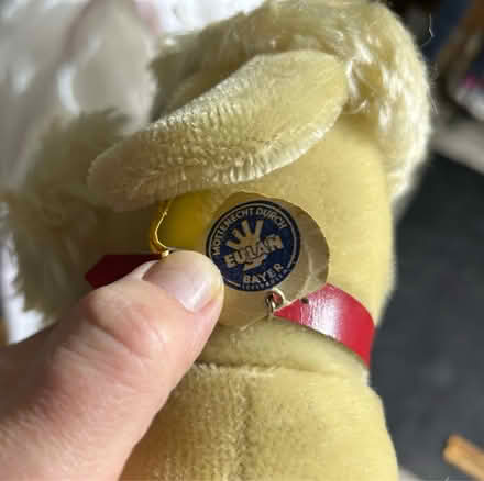 Photo of free Stuffed animals/toys (Quincy) #4