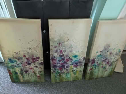 Photo of free Canvas art set (Wisewood S6) #1