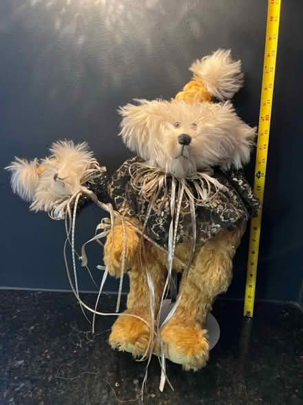 Photo of free Collectible teddy bears - 8 (Roseville Minnesota) #1