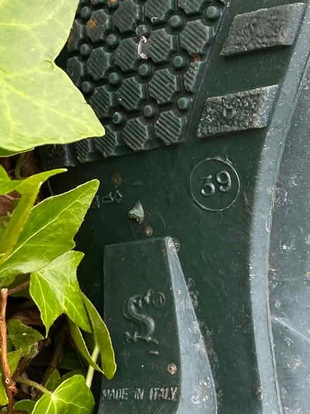 Photo of free Ladies garden wellie shoes (Liberton EH16) #2