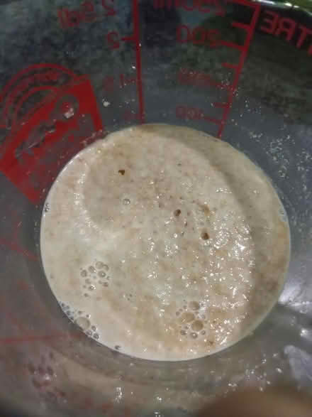 Photo of free 5 yrs old live cell yeast (Winchester) #2