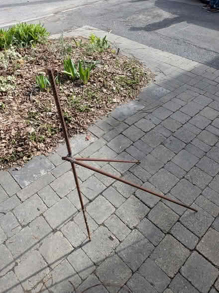 Photo of free Rebar (Old Ottawa south) #1