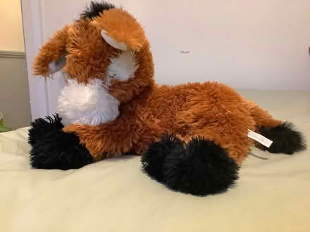 Photo of free Little stuffed donkey (White City W10) #2