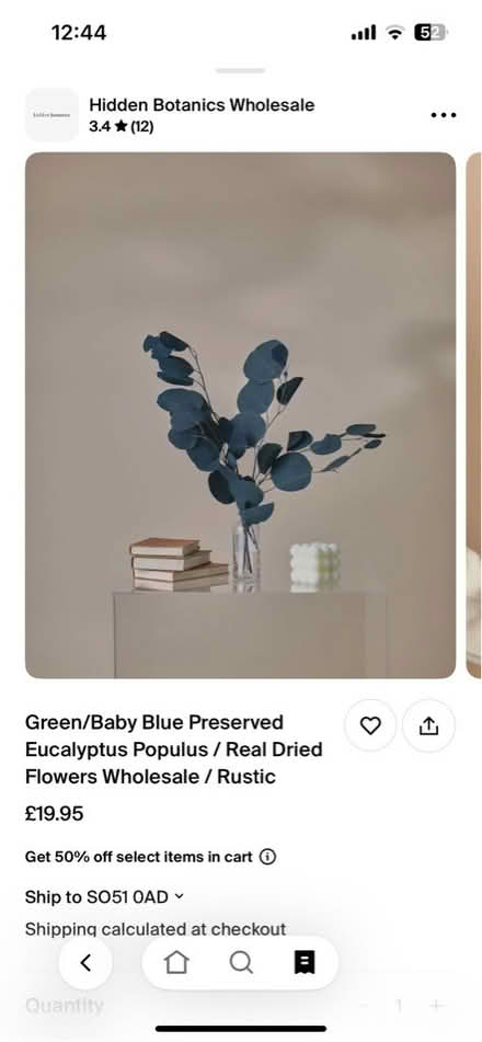 Photo of free Decorative preserved eucalyptus (Kings Chase SO51) #1