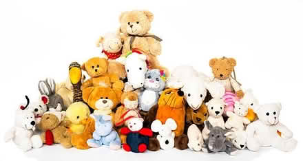 Photo of Soft toys or teddies (Botley) #1