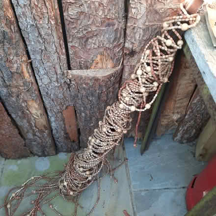 Photo of free Beaded Door Curtain (North Bitchburn DL15) #1