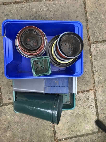 Photo of free Small to medium plastic plant pots (E11 Leytonstone) #1