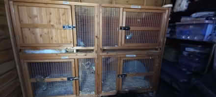 Photo of free Large rabbit hutch excellent condition (Bishopton Hamlet CV37) #1