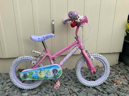 Photo of free Disney Princess’s first bike (Keynsham) #1