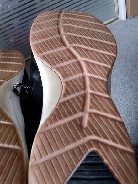 Photo of free Ladies trainers (Chesser EH14) #1