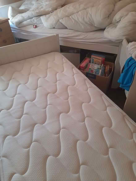 Photo of free Beds/single or bunkbeds (Oakridge RG21) #3