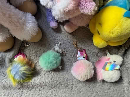 Photo of free Some teddies and keyrings (Lamberhead Green WN5) #2