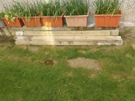 Photo of free Fence Posts And Fence Panels (Cookridge LS16) #1