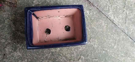 Photo of free Small bonsai plant pot (West Felton SY11) #1