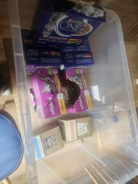 Photo of free Assorted Cat Food (Walthamstow North E17) #1