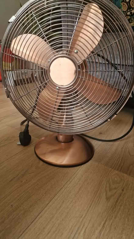 Photo of free Rose Gold Fan (Old Market, BS2) #2