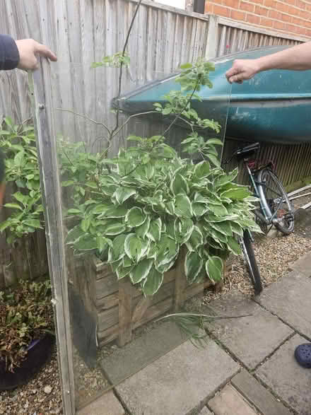 Photo of free Bath/Shower Screen (Totton SO40) #1
