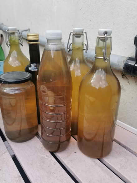 Photo of Compost tea/fertiliser (South Bermondsey SE15) #1