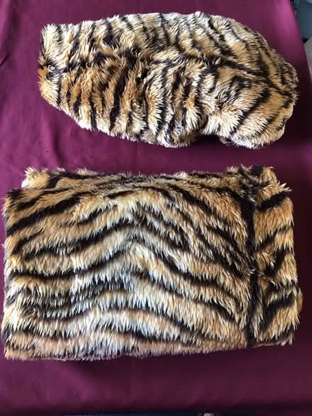Photo of free Tiger striped Fabric (Selsdon CR2) #1
