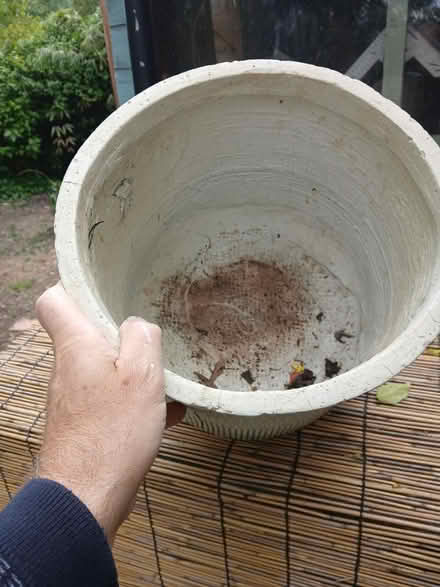 Photo of free Plant pot (TW12) #2