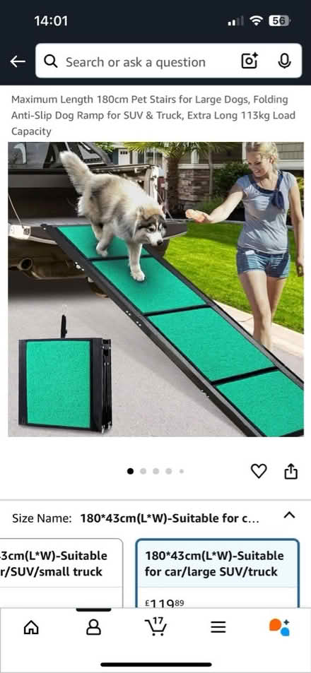 Photo of free Dog Car Ramp (Grove Park W4) #1