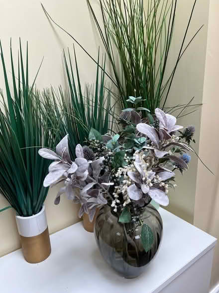 Photo of free 4 artificial plants (Garvestone NR9) #1
