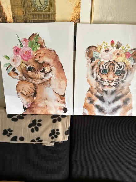 Photo of free Wall canvas x2 (Arbourthorne S2) #1