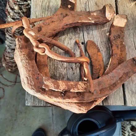 Photo of free Rusty Horseshoes (North Bitchburn DL15) #1
