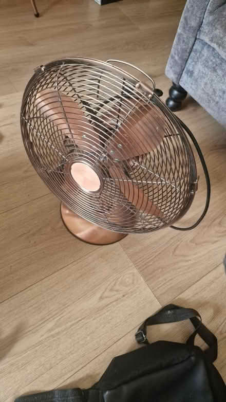 Photo of free Rose Gold Fan (Old Market, BS2) #1
