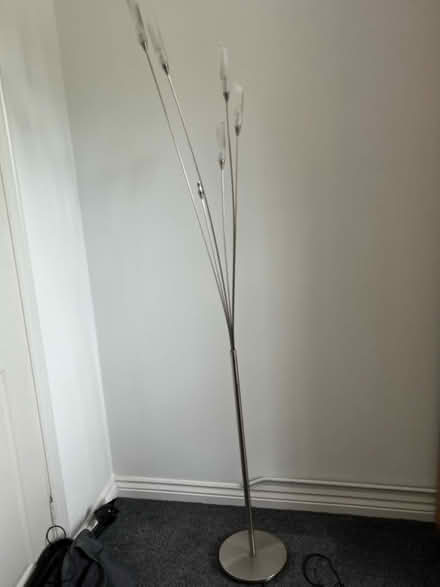 Photo of free Floor standing lamp (Lower Earley) #1