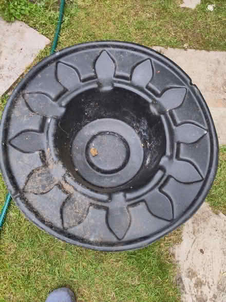 Photo of free Small Garden Pond (Eastbourne BN23) #2