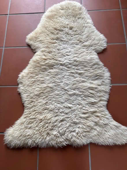 Photo of free Real Sheepskin rug (Greywell RG29) #1