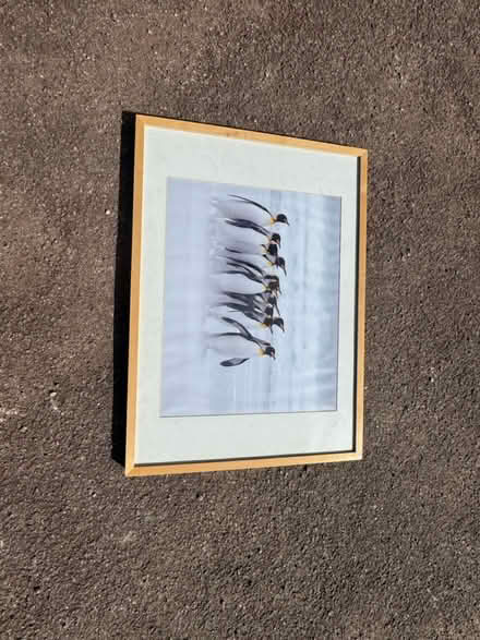 Photo of free Penguin artwork (North Abingdon OX14) #1