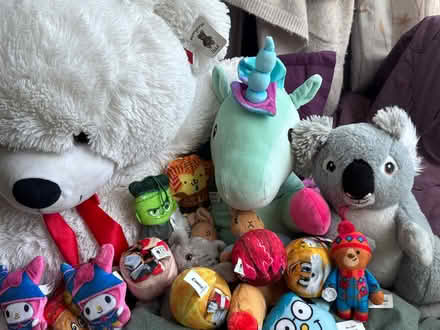 Photo of free Soft Toys - Collection from N11 (Bounds Green N11) #1