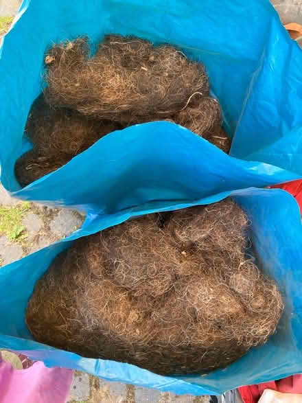 Photo of free Horsehair for upholstery or crafts (Cubbington CV32) #2
