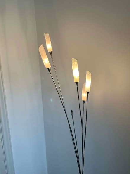Photo of free Floor standing lamp (Lower Earley) #3