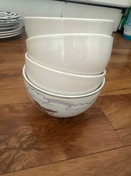 Photo of free Bowls (Windsor SL4) #1