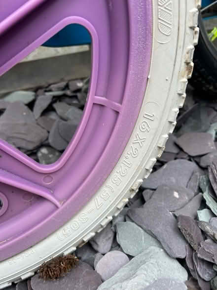 Photo of free Girls Bike 16” (Sidley) #2