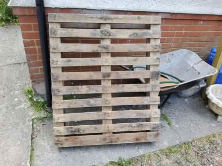 Photo of free Wooden Pallet (Bexhill on Sea) #1