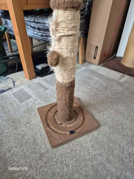 Photo of free Cat post (Royal Leamington Spa CV31) #1
