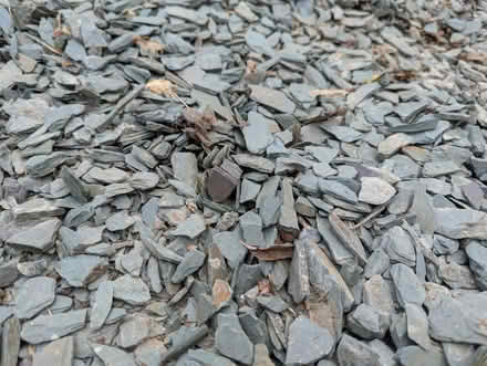 Photo of free Gravel blue slate (Oldfield Park) #1
