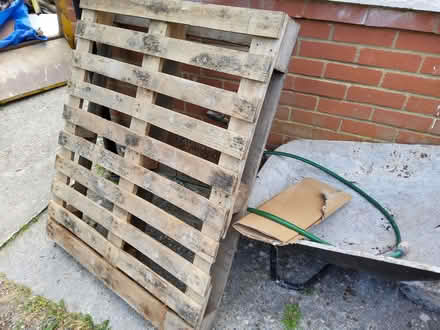 Photo of free Wooden Pallet (Bexhill on Sea) #2