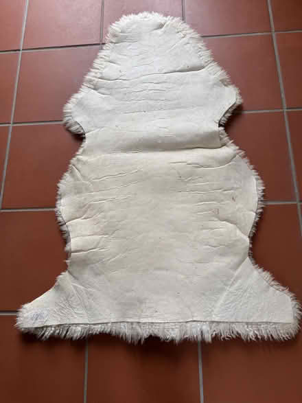 Photo of free Real Sheepskin rug (Greywell RG29) #2