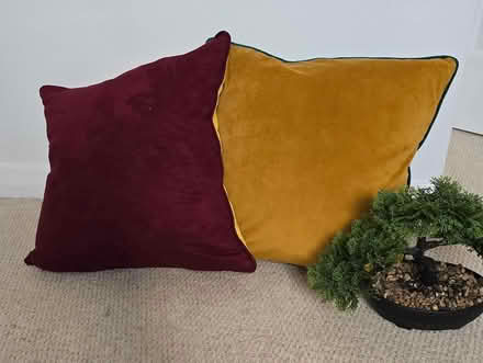 Photo of free Gorgeous throw pillows (G75 8PQ) #2