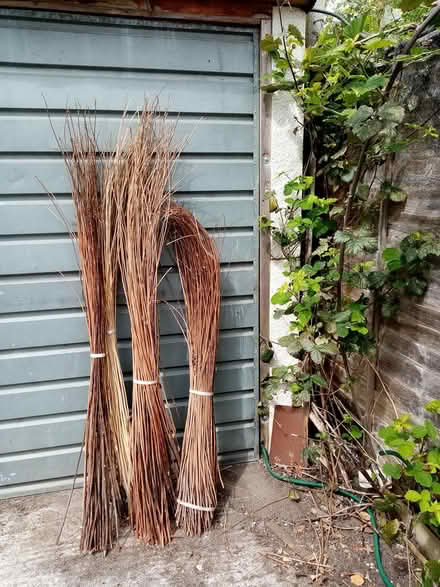 Photo of free Reeds for basket work (Bath, Bathwick) #1