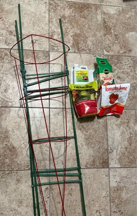 Photo of free Tomato Gardening supplies (11218 Windsor Terr / Kensingto) #1