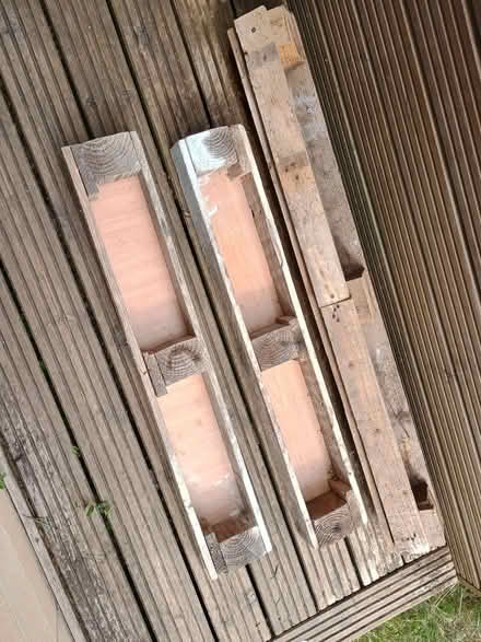 Photo of free Pallet shelving (Primrose Hill) #4