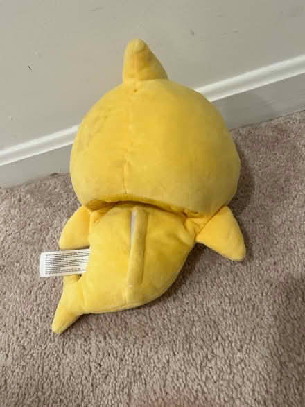 Photo of free Baby shark singing puppet (Kensington) #2